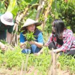 PT Vale Dorong Kemandirian Warga Lokal di Sektor Ketahanan Pangan