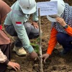 PT Vale Bersama Pramuka Bungku Timur Morowali Sosialisasi Keselamatan dan Lingkungan