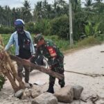 Warga Watubula Sigi Tanam Puluhan Pohon Pisang di Ruas Jalan, Kesal Tak Kunjung Diaspal