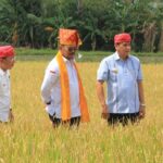 Panen Padi di Sigi, Mentan SYL: Pertanian Adalah Segalanya