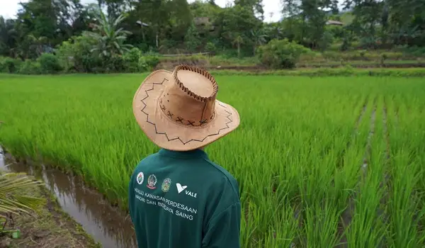 Pertanian Ramah Lingkungan, Langkah PT Vale Wujudkan Kemandiran Masyarakat
