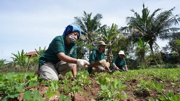 Pertanian Ramah Lingkungan, Langkah PT Vale Wujudkan Kemandiran Masyarakat