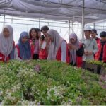 PT Vale Sinergi Pemkab Lutim Kembangkan Program PPM melalui KKN Tematik Unhas