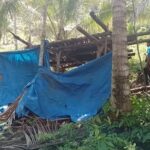 Rusdi Warga Kintom Banggai dalam Pencarian Tim SAR, Sebelumnya Pamit ke Kebun