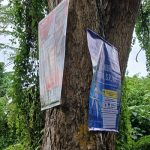 Masih Ada APK Dipasang di Pohon, Satpol PP Parimo Minta Peserta Pemilu Patuhi Aturan