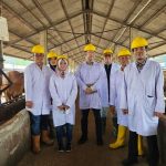 Pengusaha Agribisnis Arie Triyono: Menggagas Revolusi Agribisnis untuk Kemandirian Daging Nasional