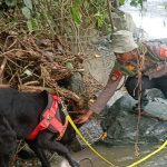 Dua Anjing Pelacak Diturunkan Mencari Dua Siswa yang Hilang di Air Terjun Wera Sigi