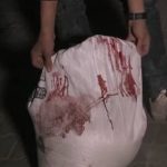 Antre Menunggu Bantuan Pangan, Militer Penjajah Israel Kembali Membantai Warga Gaza