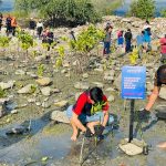 Memperingati Hari AIR Sedunia 2024, Alfamidi Palu Tanam 1000 Bibit Mangrove dan Bersih Pantai