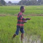 Petani di Parimo Ungkap Kelangkaan Pupuk di Pelatihan READSI
