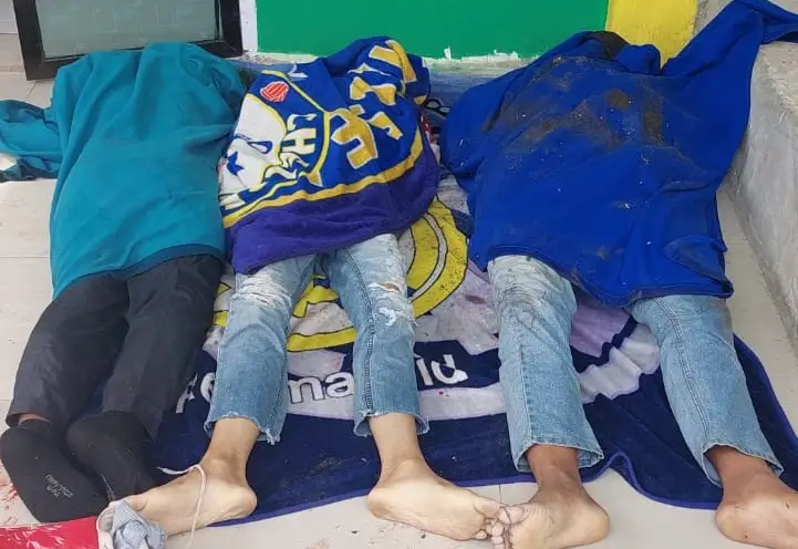 Bus Borlindo Tujuan Palu Mengalami Kecelakaan di Desa Kasano Pasangkayu, 4 Meninggal Dunia