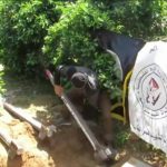 Hamas Yakinkan Dunia Internasional Rakyat Palestina Tetap Berjuang Hingga Kalahkan Israel