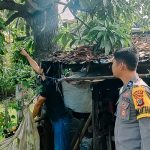 Pemuda Asal Toili Banggai Ditemukan Tewas Tergantung di Pohon Mangga