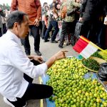 Tinjau Pasar Muara Bungo, Presiden Jokowi Tekankan Pentingnya Revitalisasi Pasar