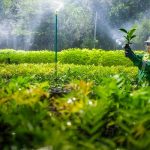 PJ Gubernur Sulsel Ajak Masyarakat Dukung PT Vale karena Konsisten Jaga Lingkungan