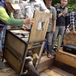 Puluhan Satwa Endemik Sulawesi Dilepasliarkan BKSDA Sulteng-IMIP di TWA Tokobae