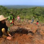 Reboisasi 33.800 Bibit Pohon di 2023, Telkom Pulihkan 82,1 Hektare Lahan Kritis di 4 Provinsi