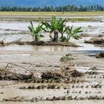 Tiga Desa Terendam Banjir di Parimo, 350 Jiwa Terdampak