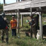 Antisipasi Kemunculan Kelompok Radikal, Satgas Operasi Madago Raya Patroli Jalur Klasik