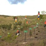 Rehabilitasi DAS di Nusa Penida Bali, PT Vale Siapkan 1.050 Bibit di Lahan 200 Hektare