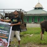 Jelang Idul Adha 1445H, IMIP Salurkan 35 Ekor Sapi untuk Program Kurban