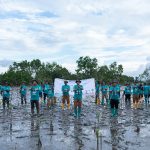 Peringati Hari Lingkungan Hidup Sedunia, PT Vale IGP Pomalaa Tanam Ribuan Bibit Bakau