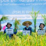 Puluhan Petani Kolaka Binaan PT Vale, Tanam Padi SRI Organik Hasil Melimpah