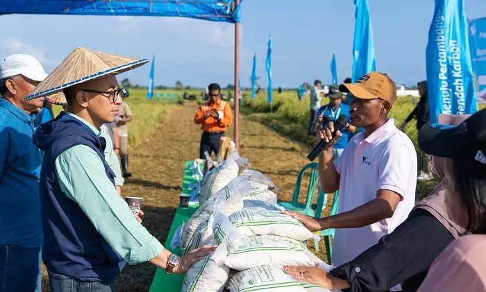 Puluhan Petani Kolaka Binaan PT Vale, Tanam Padi SRI Organik Hasil Melimpah
