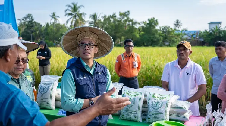 Puluhan Petani Kolaka Binaan PT Vale, Tanam Padi SRI Organik Hasil Melimpah