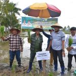 Tiga Hari Kunjungan di Buol Tolitoli, Rusdy Mastura Kunjungi 16 Titik Pertemuan