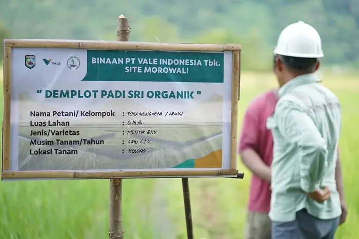 Anugerah Daya Saing Produk Pertanian, Petani Binaan PT Vale IGP Morowali Raih Penghargaan 