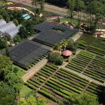 ESG Jadi Kunci PT Vale Wujudkan Praktik Nikel Bersih di Indonesia