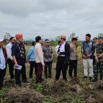 Mentan Andi Amran Bawa Investor Industri Sapi Perah Asal Vietnam Meninjau Lahan di Sulteng