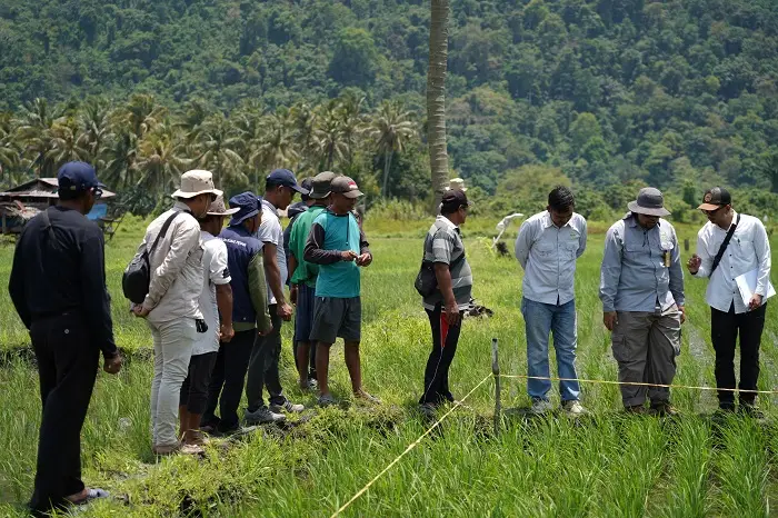 Pengawasan Pertanian Organik, PT Vale Wujudkan Pertanian Berkelanjutan dan Berkualitas di Morowali