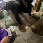 Warga Dalaka Donggala Menyimpan Sabu Satu Kg, Terancam Penjara Seumur Hidup