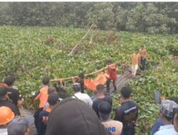 Diterkam Buaya saat Mencari Besi Tua di Rawa, Tubuh Korban Ditemukan Sudah Tak Utuh