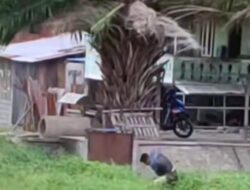 Kakek dan Cucu Duel Maut di Ujuna Kota Palu