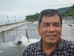 Kebutuhan Pangan Morowali dan Morowali Utara Saatnya Disuplai dari Wilayah Sulteng, Kehadiran Pertanian Modern Mendesak