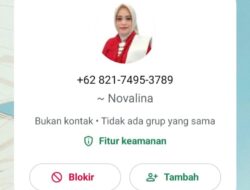 Nama Sekdaprov Novalina Dicatut, Pemprov SultengAkan Mengambil Tindakan Hukum