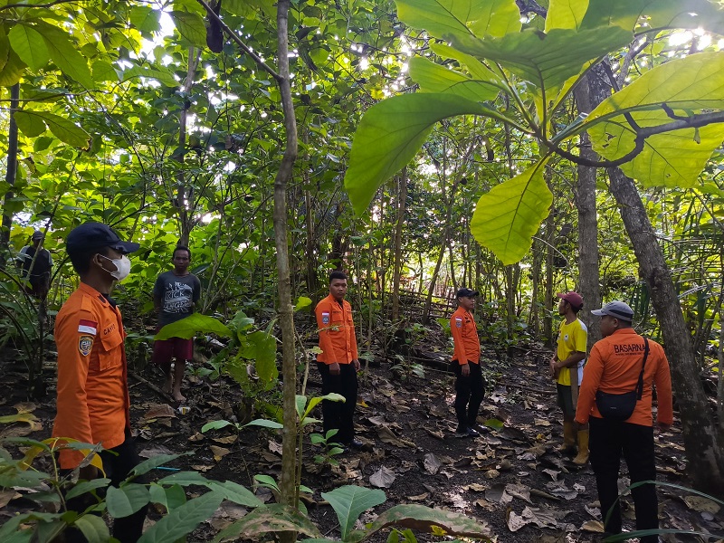 Tim SAR Susuri Perkebunan Jati di Desa Tikupon Luwuk, Cari Lansia yang Hilang Misterius