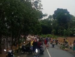 Jalan Trans Sulawesi di Morowali Utara Lumpuh Total Akibat Banjir