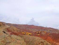 Jatam Sulteng Desak Perusahaan Segera Reklamasi di Tambang Nikel