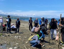 Komitmen Nyata untuk Bumi, MAPALA Pawana FMIPA Untad Tanam 250 Mangrove di Mamboro Barat