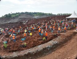 Sebelum Fase Produksi Dimulai, PT Vale IGP Morowali Tanam Ratusan Bibit Pohon di Areal Reklamasi