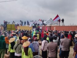 Aksi Petani Morowali Berbuah Hasil, PT BTIIG Setuju Tunda Pembangunan Pipa Bendungan Karaopa