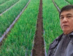Bawang Goreng Palu Belum Mampu Penuhi Permintaan, PR Program BERANI Panen Raya