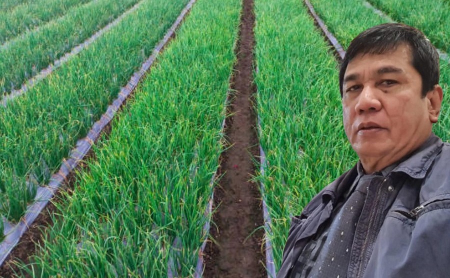 Bawang Goreng Palu Belum Mampu Penuhi Permintaan, PR Program BERANI Panen Raya