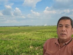 Swasembada Beras Tercapai Kesejahteraan Belum Terasa Produktifitas dan Nilai Tambah Masih Jadi PR