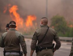 Israel Darurat Nasional, Militer Dikerahkan Padamkan Kobaran Api di Hutan Dekat Yerusalem