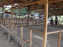 Polisi Gerebek Lokasi Sabung Ayam Petobo Palu, Seorang Warga Diamankan